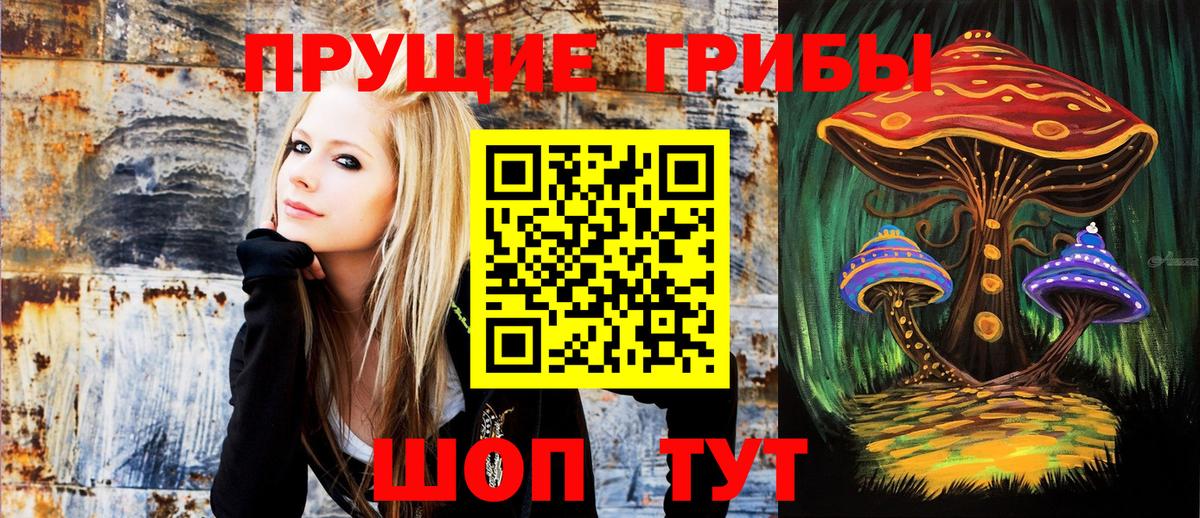 купить наркотики сайты  Галлюциногенные грибы Psilocybine cubensis  Вход с VPN  Люберцы  Псилоцибиновые грибы ЛСД 